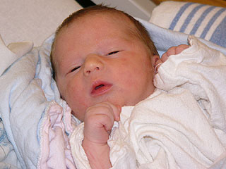 Bowen1