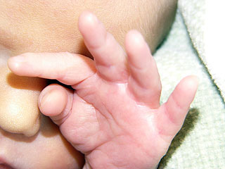 Bowen4